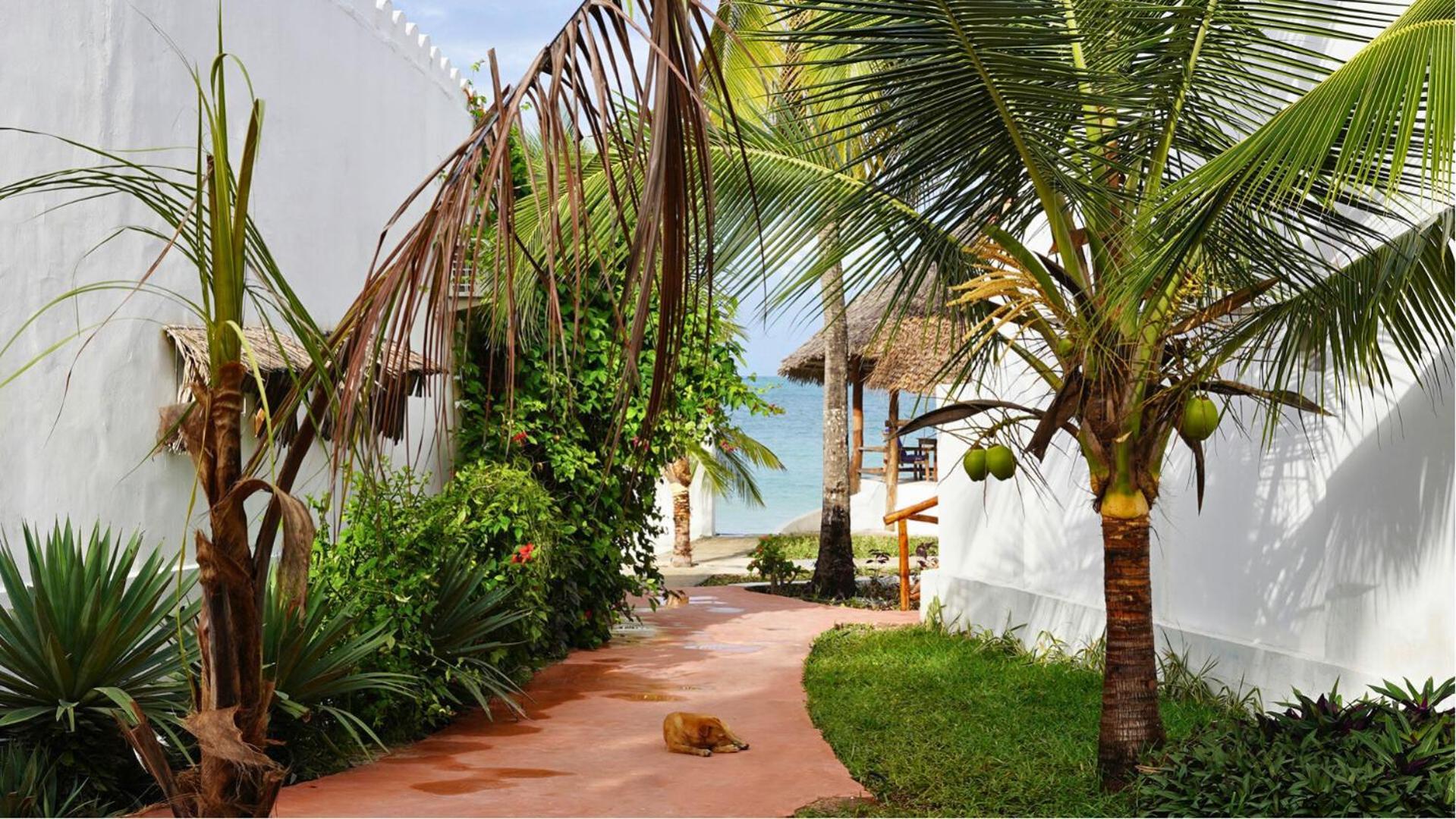 Nautilus Boutique Hotel Uroa Exteriör bild